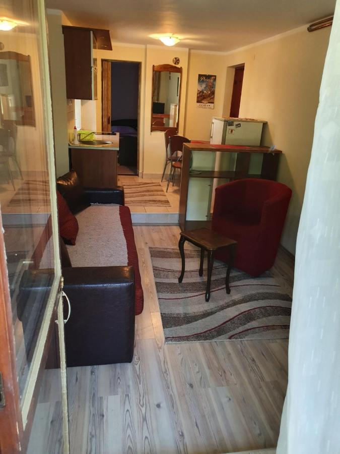 Appartement Apartman Sergej 2 à Sokobanja Extérieur photo