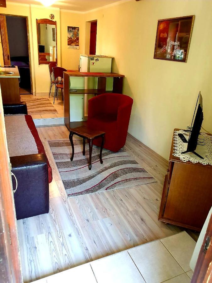 Appartement Apartman Sergej 2 à Sokobanja Extérieur photo