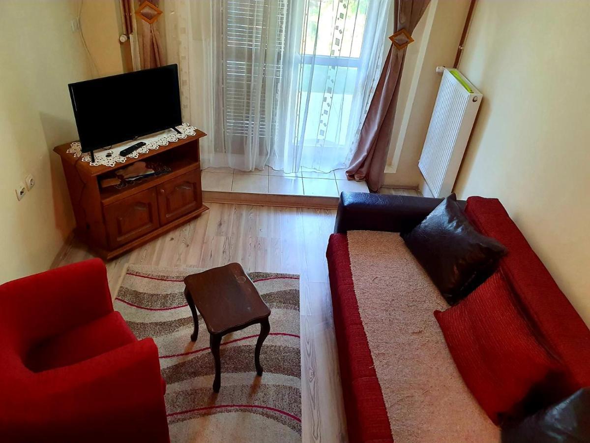 Appartement Apartman Sergej 2 à Sokobanja Extérieur photo