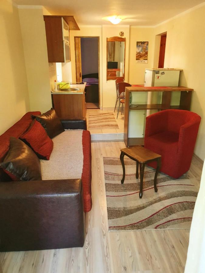 Apartman Sergej 2 Sokobanja Extérieur photo