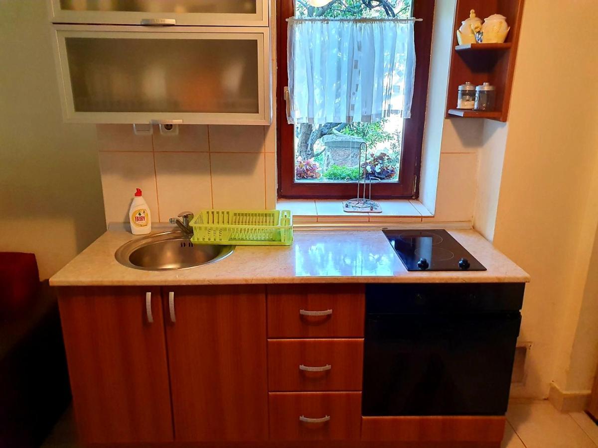 Apartman Sergej 2 Sokobanja Extérieur photo